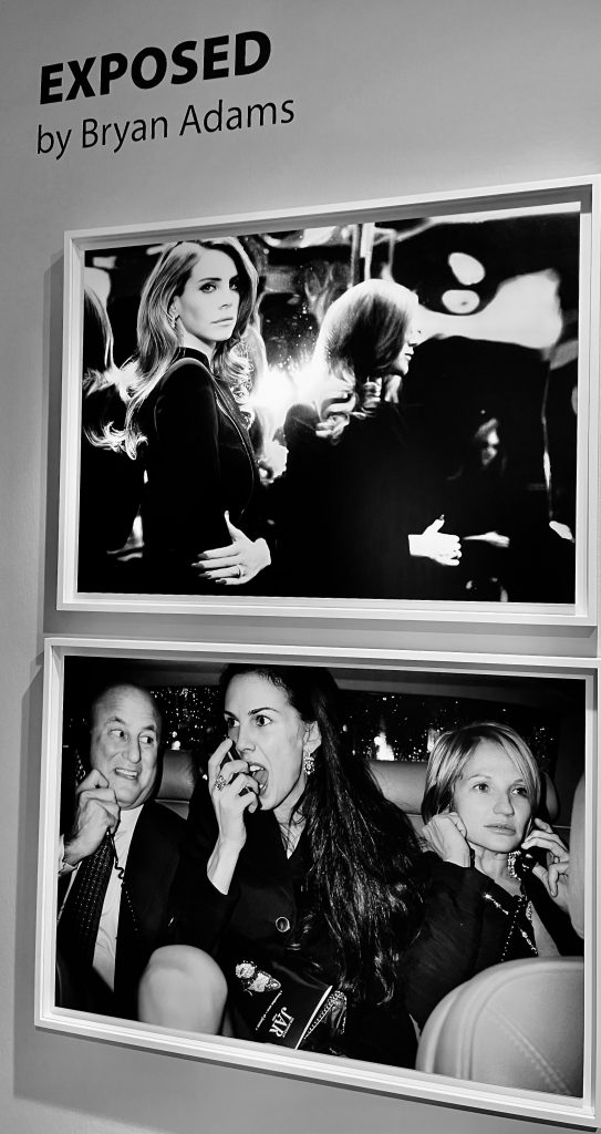 Ausstellung von Brian Adams