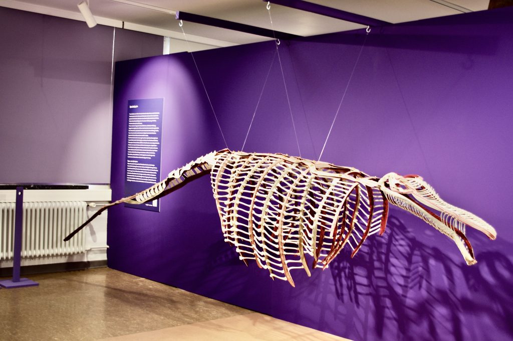 Der Leviathan der Künstlerin
